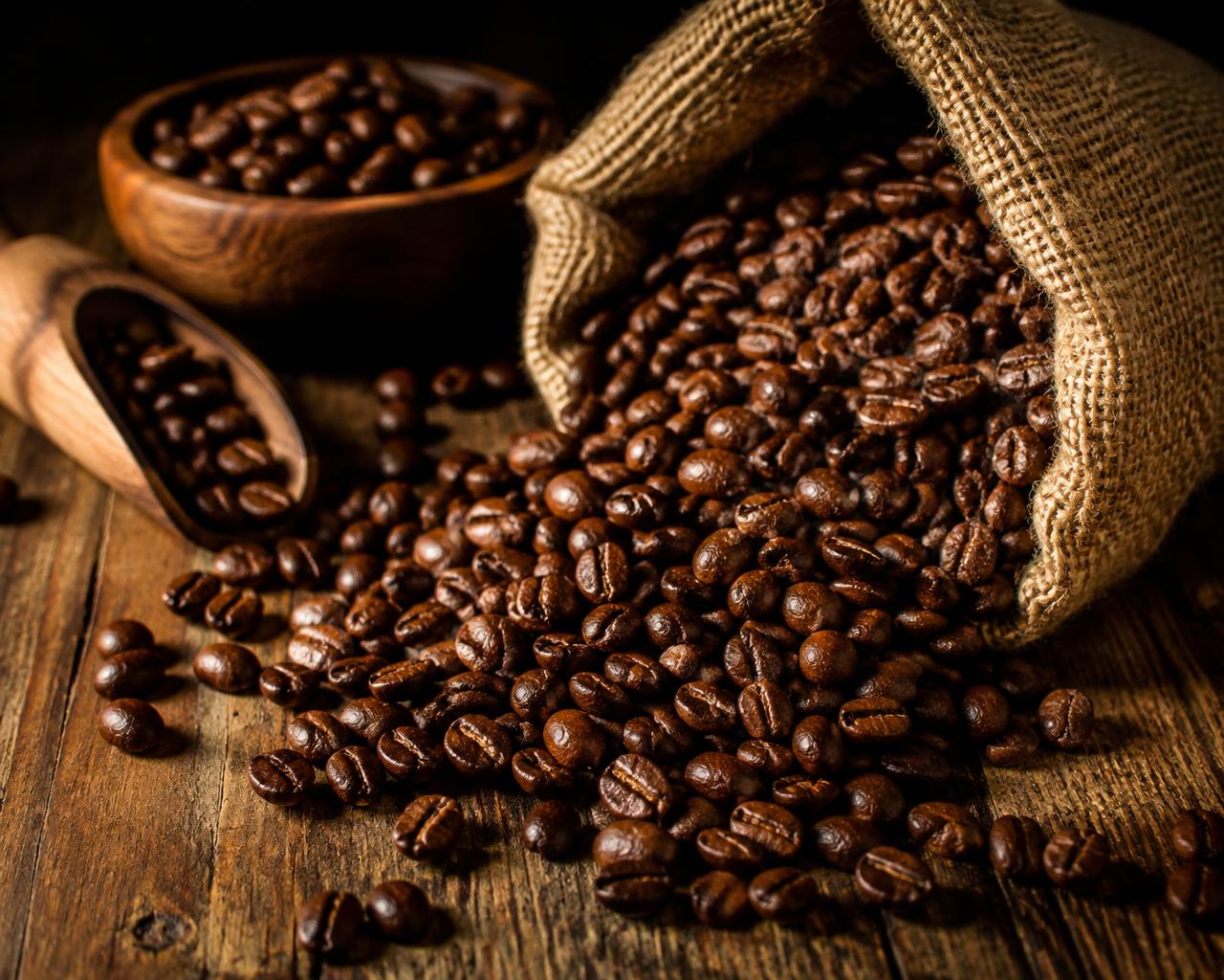 Granos de café recién tostados